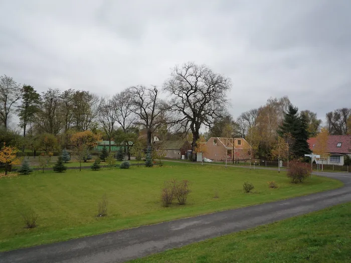 Ortwig, Haus im Oderbruch